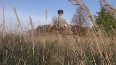 sonbahar manzarası ile çiftlik kalıntıları ve leylek yuvası