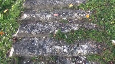 Beton merdiven ve kamera hareket yürüme