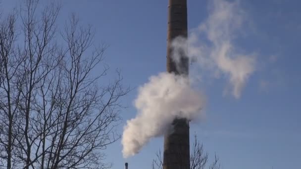 Winter schoorsteen verontreiniging in de lucht — Stockvideo