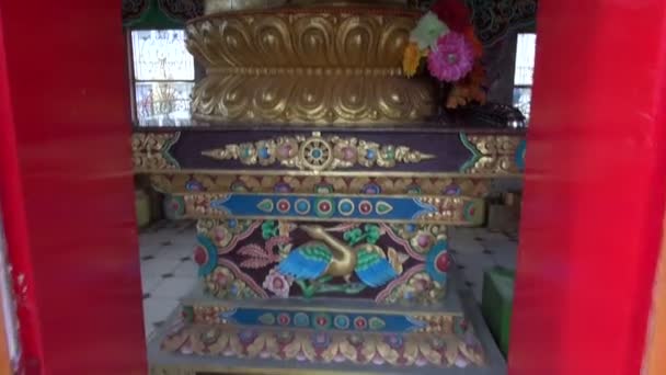 Kleurrijke Boeddhabeeld in dharamsala tempel, india — Stockvideo