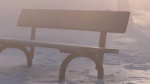 Banco de madera en el parque de invierno en la nieve y niebla de la mañana — Vídeo de stock