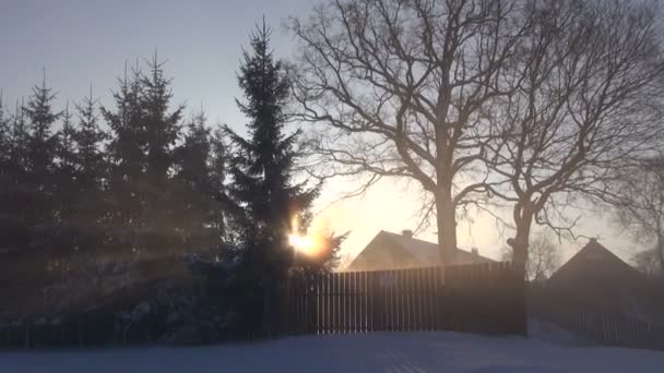 Зимовий ранковий схід сонця в селі — стокове відео