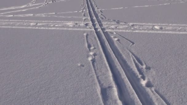 Ski sport lábnyomok a téli hó — Stock videók
