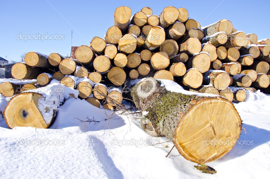 firewood stack on winter snow