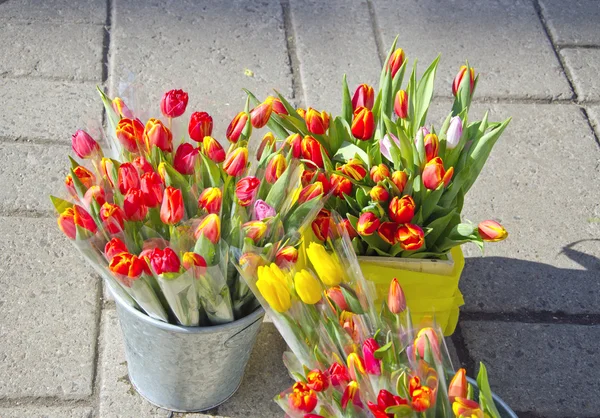 Tulp bloemen in straatmarkt — Stockfoto