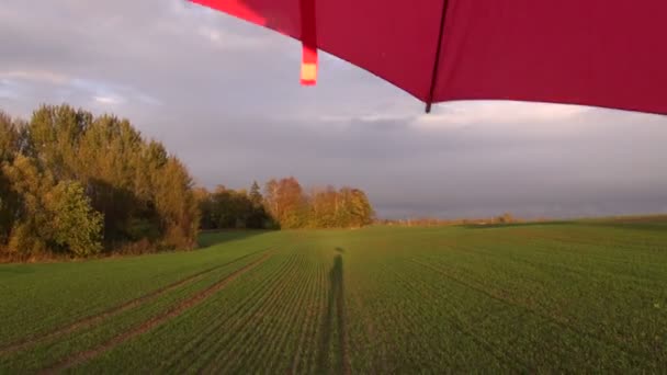 parasol rouge après la pluie et l'ombre sur le terrain 