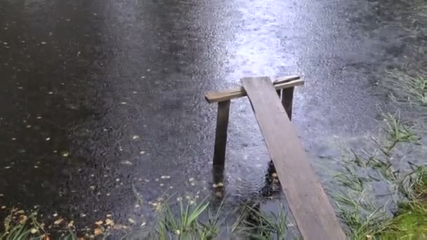 Rain on pond abstract background — Stock Video