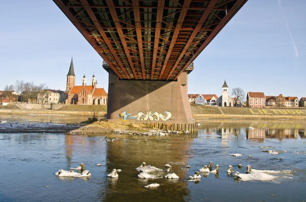 Kaunas stad en brug over nemunas riverin lente — Stockfoto