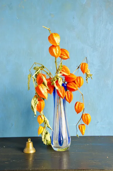 Florero de vidrio con flores de tomate de cáscara seca y campana — Foto de Stock