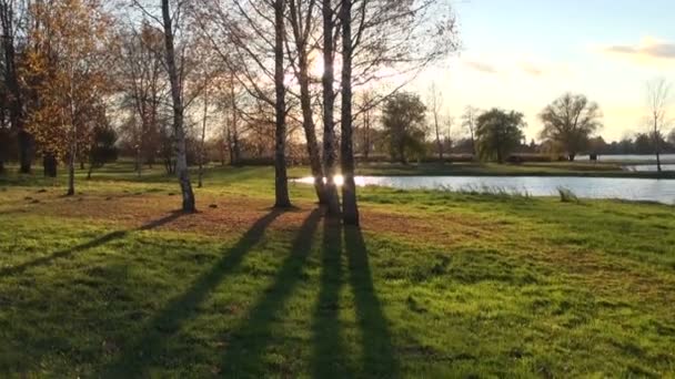 Herbstliche Parklandschaft und Sonnenlicht — Stockvideo