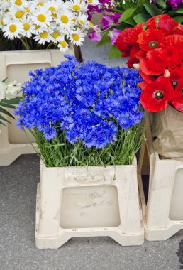 Peygamber, haşhaş ve marguerites çiçek pazarı içinde