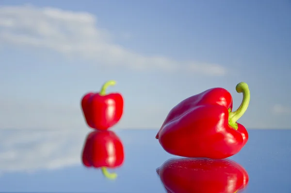 Dvě čerstvé červené papriky na zrcadlo — Stock fotografie