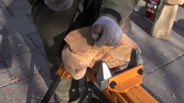 Craftsman in agriculture fair carving wood object — Stock Video