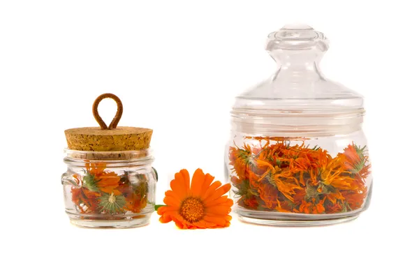 Dry medical herbs calendula in glass jars isolated — Stock Photo, Image