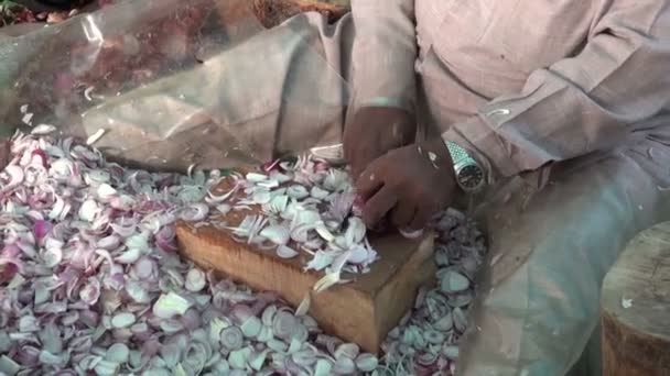 アムリトサル寺で、インドのシーク教徒のカッティング玉ねぎ — ストック動画