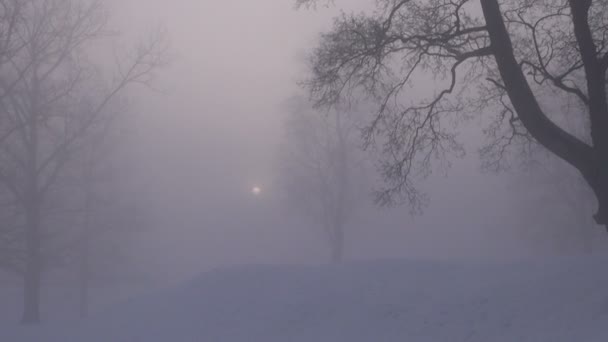 濃い霧の中で冬の朝の太陽 — ストック動画