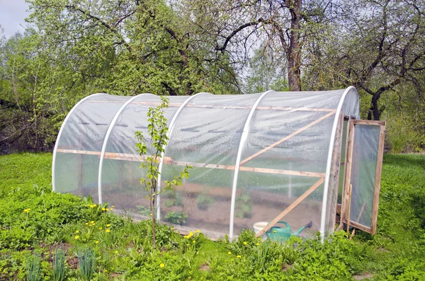 Primitiva plast växthus i farm trädgård — Stockfoto
