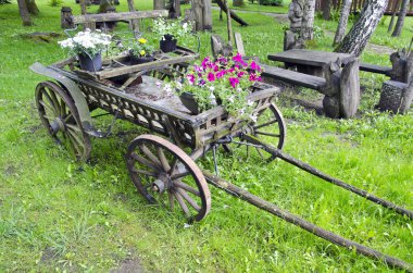 çiçek Park ile eski at arabası