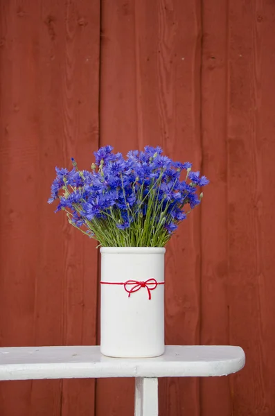 Blue cornflower bouquet in white vase — Stock Photo, Image