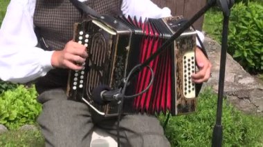 neşeyle akordeon ile oynamak, müzisyenler