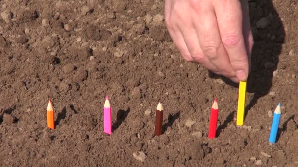 Planting in spring garden soil colorful pencils — Stock Video