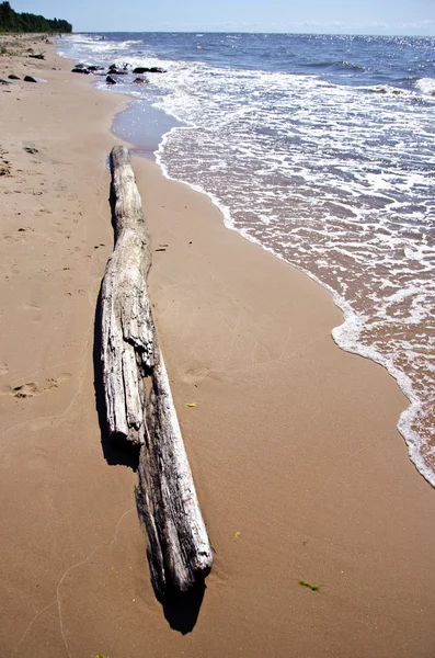 Pusty lato morze plaża krajobraz — Zdjęcie stockowe