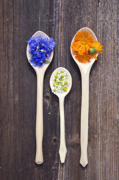 Three wooden spoons with fresh medical herbs — Stock Photo, Image