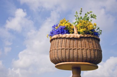 hasır sepet tablo yaz ortası tıbbi bitki çiçek