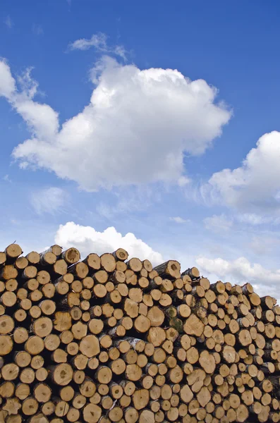 Pila de troncos de madera industrial y cielo —  Fotos de Stock