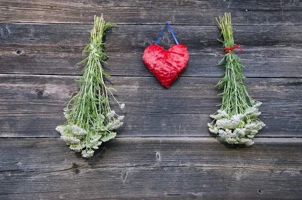 Corazón rojo y planta médica Achillea millefolium yarrow manojo de hierbas comunes en la pared —  Fotos de Stock