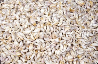 taze sebze sarımsak kulak arka plan