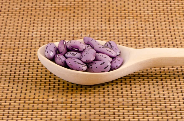 Haricots colorés dans une cuillère en bois — Photo