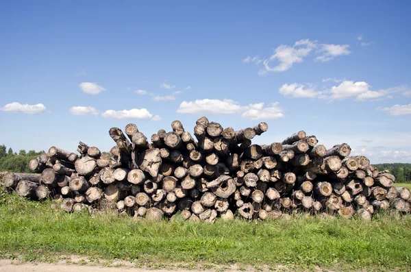 Old log stack on field — Stock Photo, Image