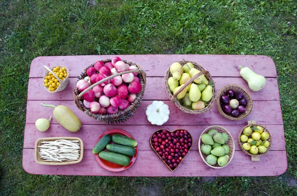 Red wooden table in garden with fruits and vegetables — Stock Photo, Image