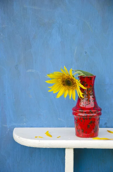 Vaso vermelho com uma flor de girassol — Fotografia de Stock