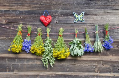 sağlıklı yaşam ve alternatif tıp kavramı