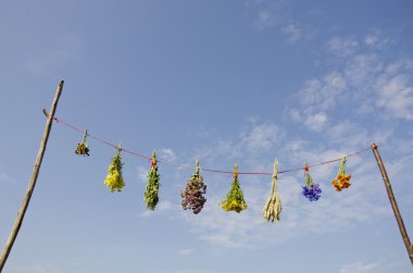 taze değişik yaz tıbbi ot demetleri ipte