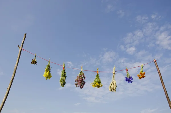 Variuos frais herbes médicales d'été grappes sur corde — Photo