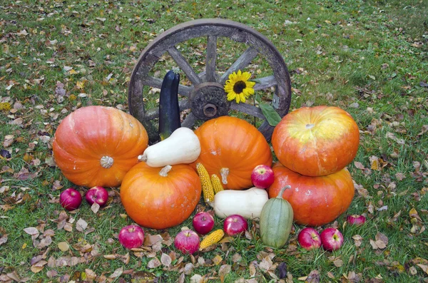 Vegetables and fruits harvest on autumn farm yard — Stock Photo, Image