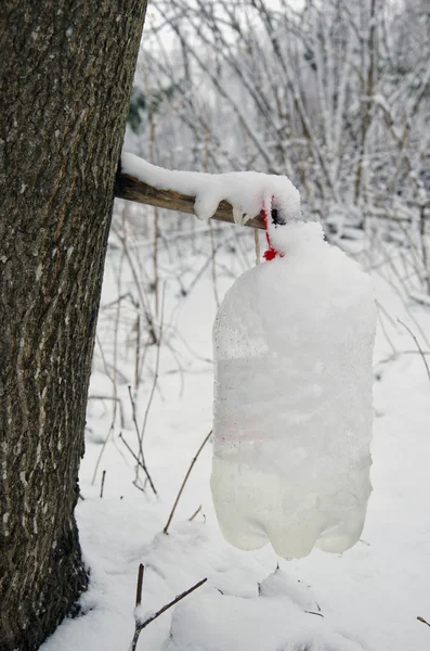 Maple sap in snowy plastic bottle — Stock Photo, Image