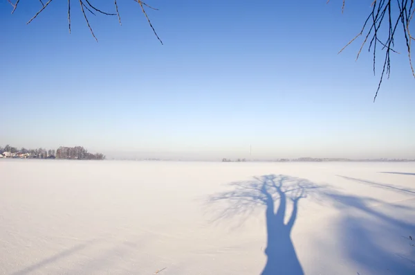 Paisagem de inverno com sombra de árvore — Fotografia de Stock