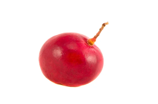 Ώριμα μάνγκο κόκκινα φρούτα που απομονώνονται σε λευκό — Φωτογραφία Αρχείου