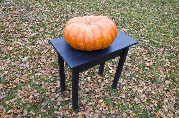 Calabaza grande naranja sobre mesa de madera negra en el jardín — Foto de Stock