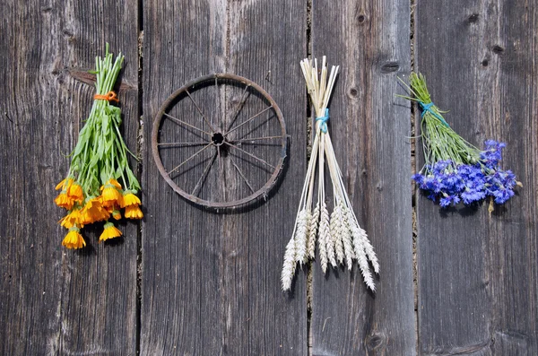 Wheat and medical herbs bunch on old wooden wall — Stock Photo, Image