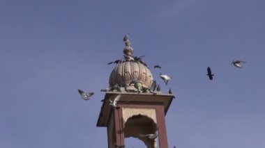 Güvercinler ve Hindistan palace Kulesi