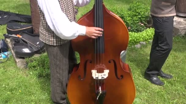 Músico jugando con contrabajo en feria de agricultura — Vídeos de Stock