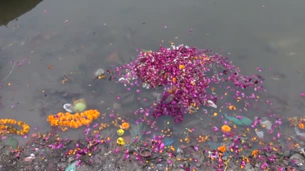 Цветы после ритуала в грязной воде реки Ганг, Варанаси, Индия — стоковое видео