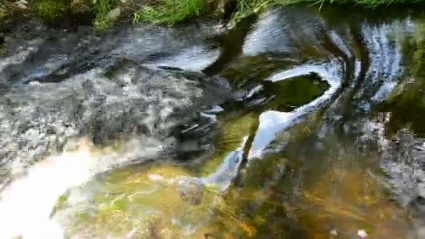 Прозрачный летний брызг воды из реки — стоковое видео