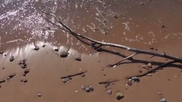 Verano mar olas y arena de playa — Vídeo de stock