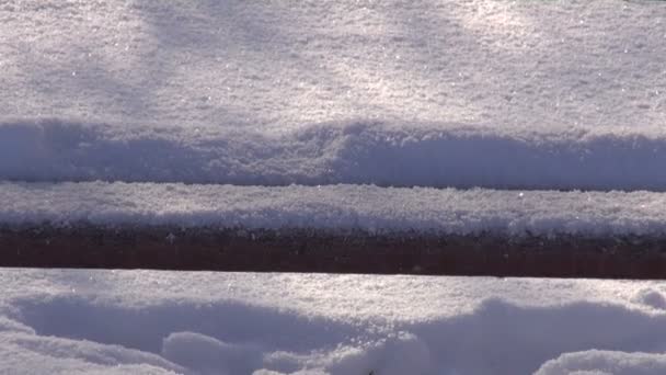 Banco de madera en el parque en la nieve y la luz solar de la mañana — Vídeo de stock